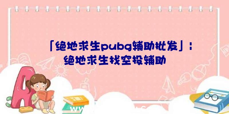 「绝地求生pubg辅助批发」|绝地求生找空投辅助